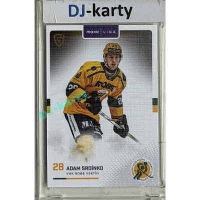 2025/26 Goal Cards Maxa liga #VSE-06 Adam Srdínko Canvas