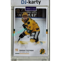 2025/26 Goal Cards Maxa liga #VSE-14 Damien Tyczynski Canvas