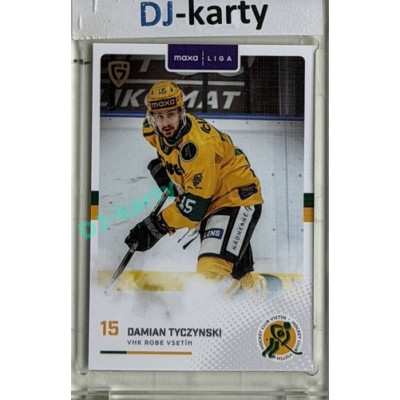 2025/26 Goal Cards Maxa liga #VSE-14 Damien Tyczynski Canvas