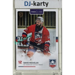 2025/26 Goal Cards Maxa liga #TRE-13 David Michálek Canvas