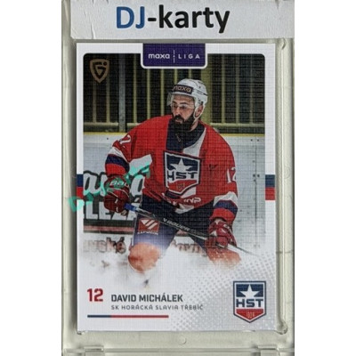 2025/26 Goal Cards Maxa liga #TRE-13 David Michálek Canvas