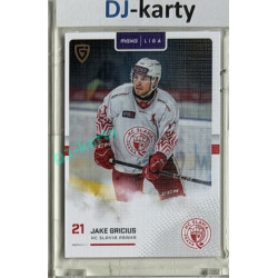 2025/26 Goal Cards Maxa liga #SLA-11 Jake Gricius Canvas