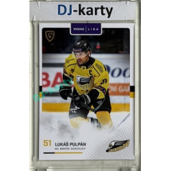 2025/26 Goal Cards Maxa liga #SOK-07 Lukáš Pulpán Canvas