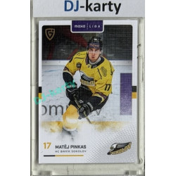 2025/26 Goal Cards Maxa liga #SOK-06 Matěj Pinkas Canvas