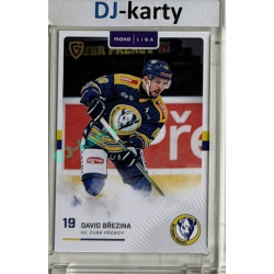 2025/26 Goal Cards Maxa liga #PRE-14 David Březina Canvas