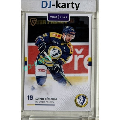 2025/26 Goal Cards Maxa liga #PRE-14 David Březina Canvas