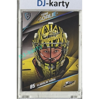 2025/26 Goal Cards Maxa liga #TG-13 Vladislav Habal Goalies Parallel 15/15