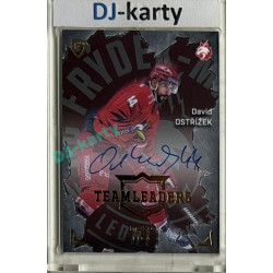 2025/26 Goal Cards Maxa liga #TL-26 David Ostřížek Team Leaders Auto xx/25