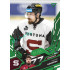 2025/26 Sportzoo ELH 2. serie #270 David Němeček Emerald Green xx/50