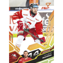 2025/26 Sportzoo ELH 2. serie #355 Dalibor Řezníček Amber Gold 02/10