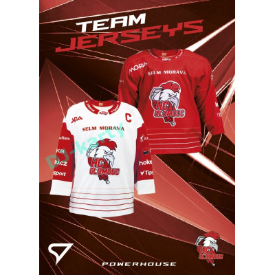 2025/26 Sportzoo ELH 2. serie #PH-124 JERSEYS Powerhouse