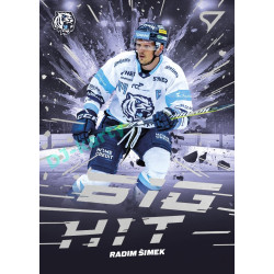 2025/26 Sportzoo ELH 2. serie #BD-15 Radim Šimek Big Hit