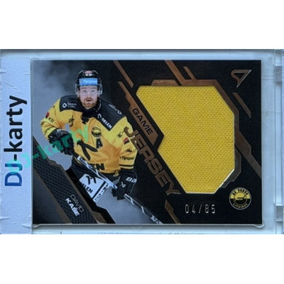2025/26 Sportzoo ELH 2. serie #GJ-DK David Kaše Game Jersey 04/85