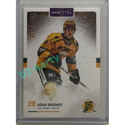 2025/26 Goal Cards Maxa liga #VSE-06 Adam Srdínko Parallel 3/6