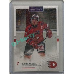2025/26 Goal Cards Maxa liga #PCE-05 Karel Nedbal Parallel 3/6
