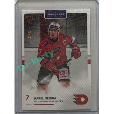 2025/26 Goal Cards Maxa liga #PCE-05 Karel Nedbal Parallel 3/6