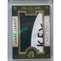 2025/26 Goal Cards Maxa liga #JJ-JJ-14 David Honzík Jumbo Jersey 7/22