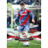 2025/26 Sportzoo Chance Liga 2. série #211 ALEXANDR SOJKA