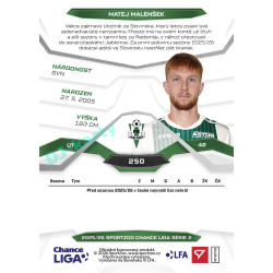 2025/26 Sportzoo Chance Liga 2. série #250 MATEJ MALENŠEK