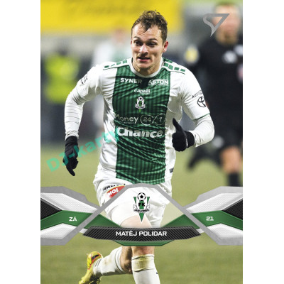 2025/26 Sportzoo Chance Liga 2. série #246 MATĚJ POLIDAR