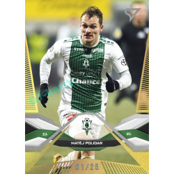 2025/26 Sportzoo Chance Liga 2. série #246 MATĚJ POLIDAR Gold xx/25