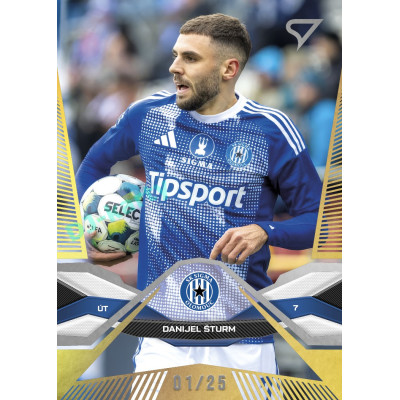 2025/26 Sportzoo Chance Liga 2. série #262 DANIJEL ŠTURM Gold xx/25