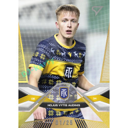 2025/26 Sportzoo Chance Liga 2. série #294 NOJUS VYTIS AUDINIS Gold xx/25