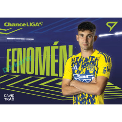 2025/26 Sportzoo Chance Liga 2. série #FE-46 DAVID TKÁČ Fenomén