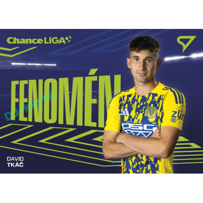 2025/26 Sportzoo Chance Liga 2. série #FE-46 DAVID TKÁČ Fenomén