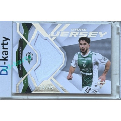 2025/26 Sportzoo Chance Liga 2. série #GJ-RS Richard Sedláček Game Jersey 08/75