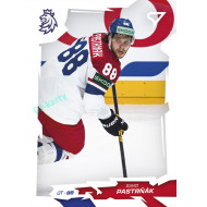 2026 Sportzoo Hokejové Česko #44 David Pastrňák