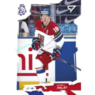 2026 Sportzoo Hokejové Česko #43 Ondřej Palát