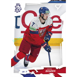 2026 Sportzoo Hokejové Česko #21 David Špaček