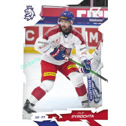 2026 Sportzoo Hokejové Česko #17 Filip Pyrochta