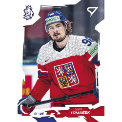 2026 Sportzoo Hokejové Česko #50 David Tomášek