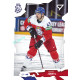 2026 Sportzoo Hokejové Česko #29 Tomáš Hertl