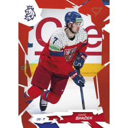 2026 Sportzoo Hokejové Česko #21 David Špaček Scarlet Red