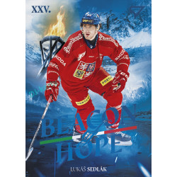 2026 Sportzoo Hokejové Česko #BH-25 Lukáš Sedlák Beacon of Hope