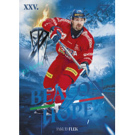 2026 Sportzoo Hokejové Česko #BH-16 Jakub Flek Beacon of Hope