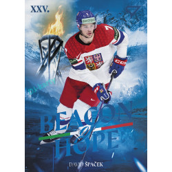 2026 Sportzoo Hokejové Česko #BH-12 David Špaček Beacon of Hope