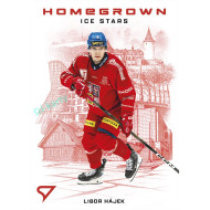 2026 Sportzoo Hokejové Česko #HS-06 Libor Hájek Homegrown Ice Stars