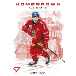 2026 Sportzoo Hokejové Česko #HS-06 Libor Hájek Homegrown Ice Stars