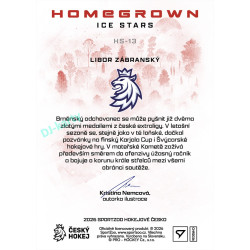 2026 Sportzoo Hokejové Česko #HS-13 Libor Zábranský Homegrown Ice Stars