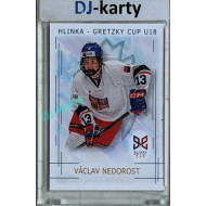 2025/26 Real Cards serie 1 #HG-11 Václav Nedorost Hlinka-Gretzky cup U18
