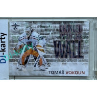 2025/26 Real Cards serie 1 #CHW-13 Tomáš Vokoun Changed in to the wall Magma xx/25