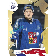 2026 Sportzoo Hokejové Česko #20 Radim Šimek Buff Gold xx/10
