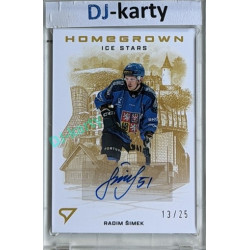 2026 Sportzoo Hokejové Česko #HSS-RS Radim Šimek Homegrown Ice Stars Gold Auto 13/25
