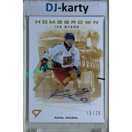2026 Sportzoo Hokejové Česko #HSS-PK Pavel Kousal Homegrown Ice Stars Gold Auto 12/25
