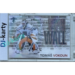 2025/26 Real Cards serie 1 #CHW-13 Tomáš Vokoun Changed in to the wall Space xx/25
