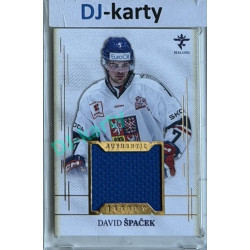 2025/26 Real Cards serie 1 #AJ-23 David Špaček Authentic Jersey Gold 12/19